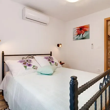Zoro Comfortable * Škropeti